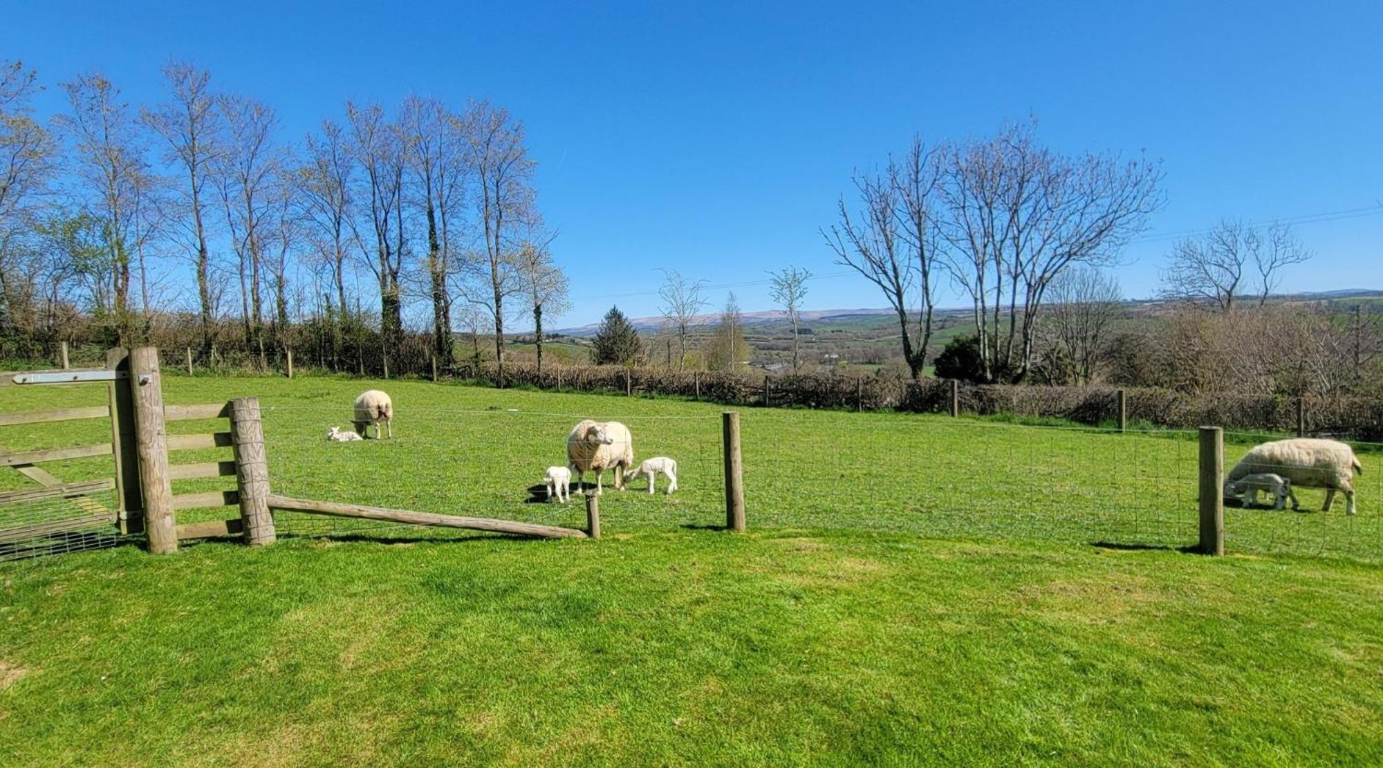 Couples Retreat In Beautiful West Devon Countryside Villa Broadwoodwidger Exterior photo